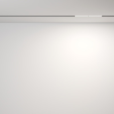 Трековый светильник Parete TR106-2-12W4K-B